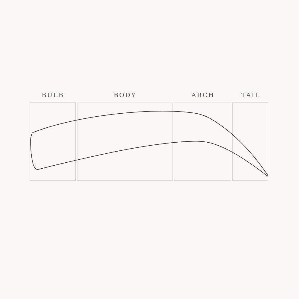 Classic model directional flow diagram showing stroke angle progression across zones