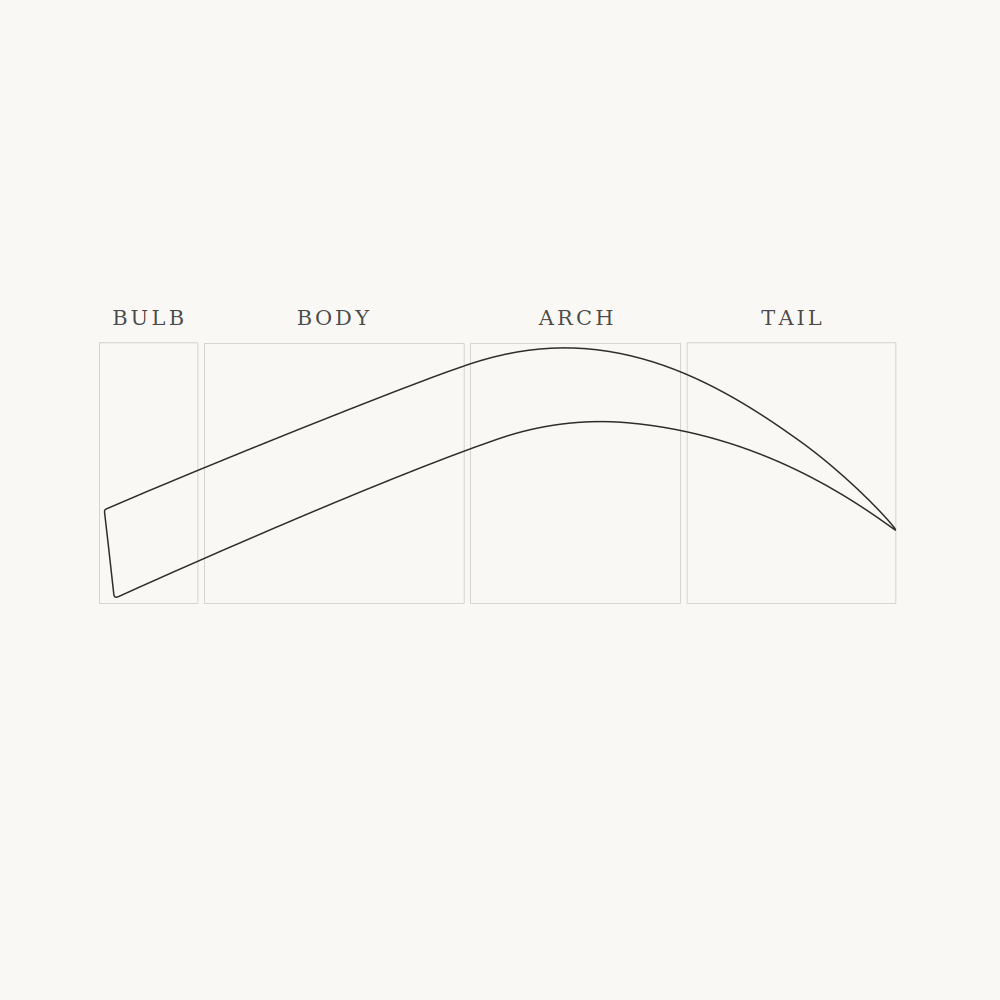 Elevated model directional flow diagram showing progressive lift through body and convergence at arch (2°–36°)