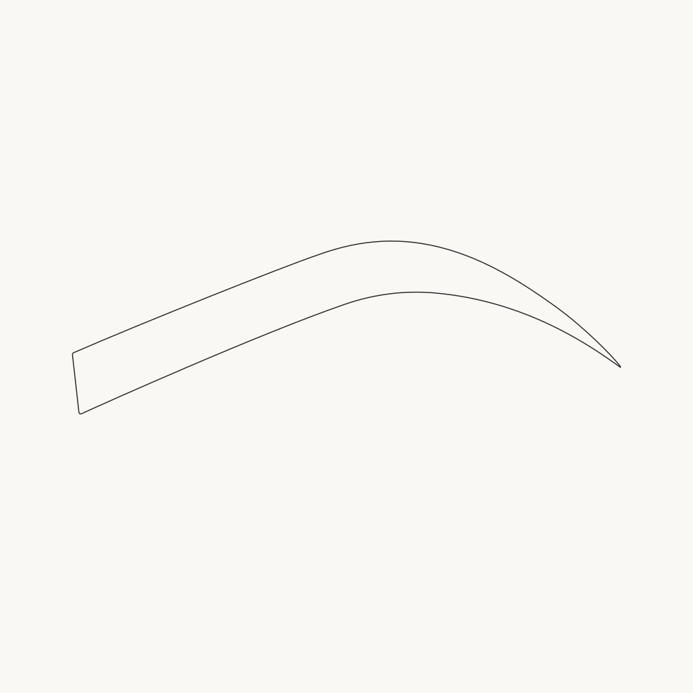 Elevated model zone diagram showing four zones: BULB at 13%, BODY at 33%, ARCH at 26%, and TAIL at 28%