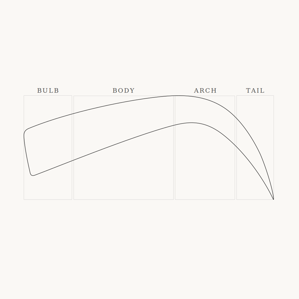 Expressive model density diagram showing concentration at bulb, gradual reduction through body, minimal tail density