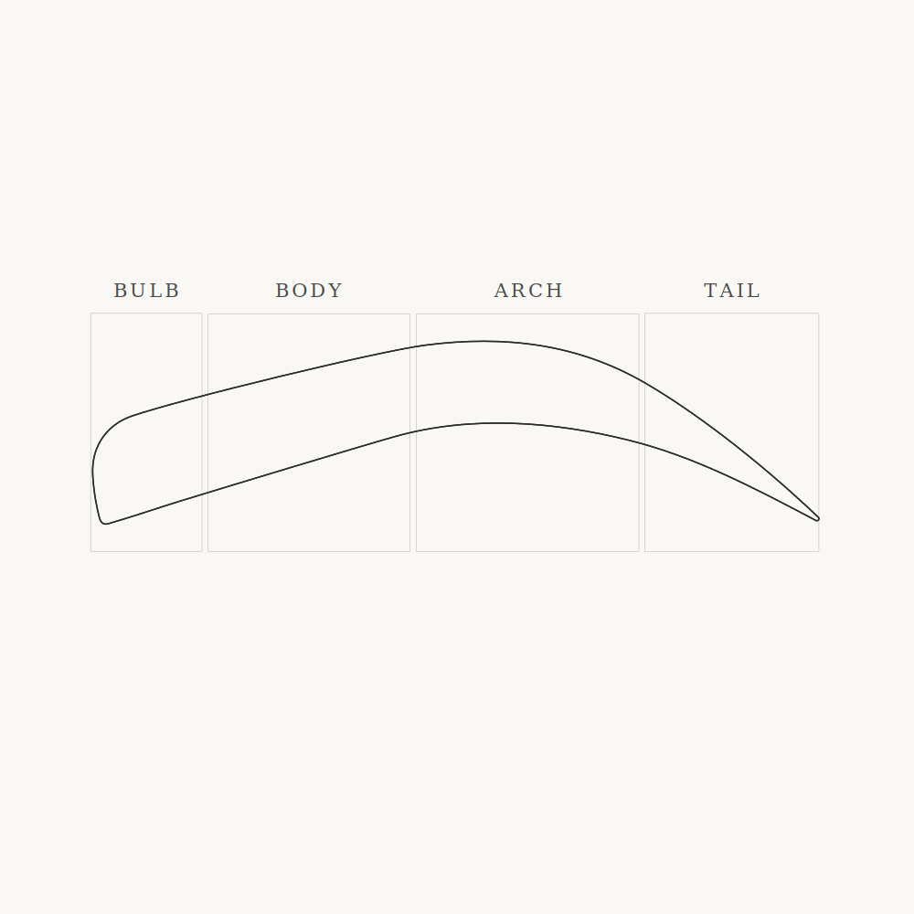 Soft Harmony model density diagram showing BULB: Soft, BODY: Medium, ARCH: Full, TAIL: Graduated