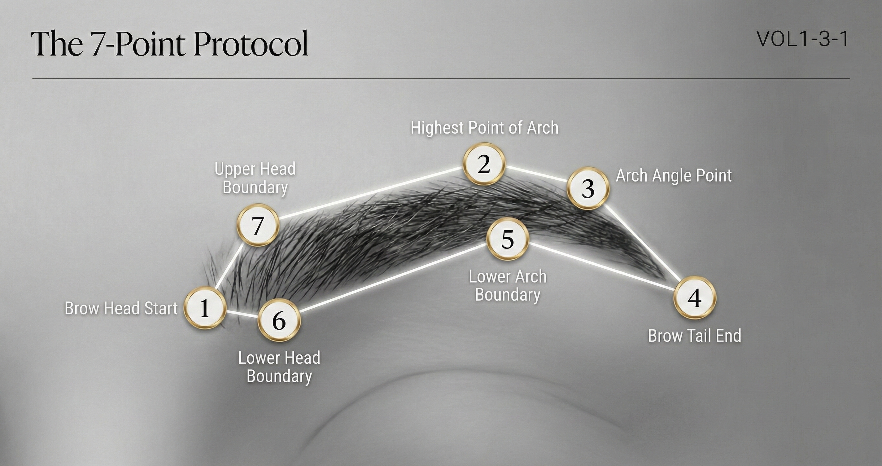 Diagram showing the 7-point protocol mapping system