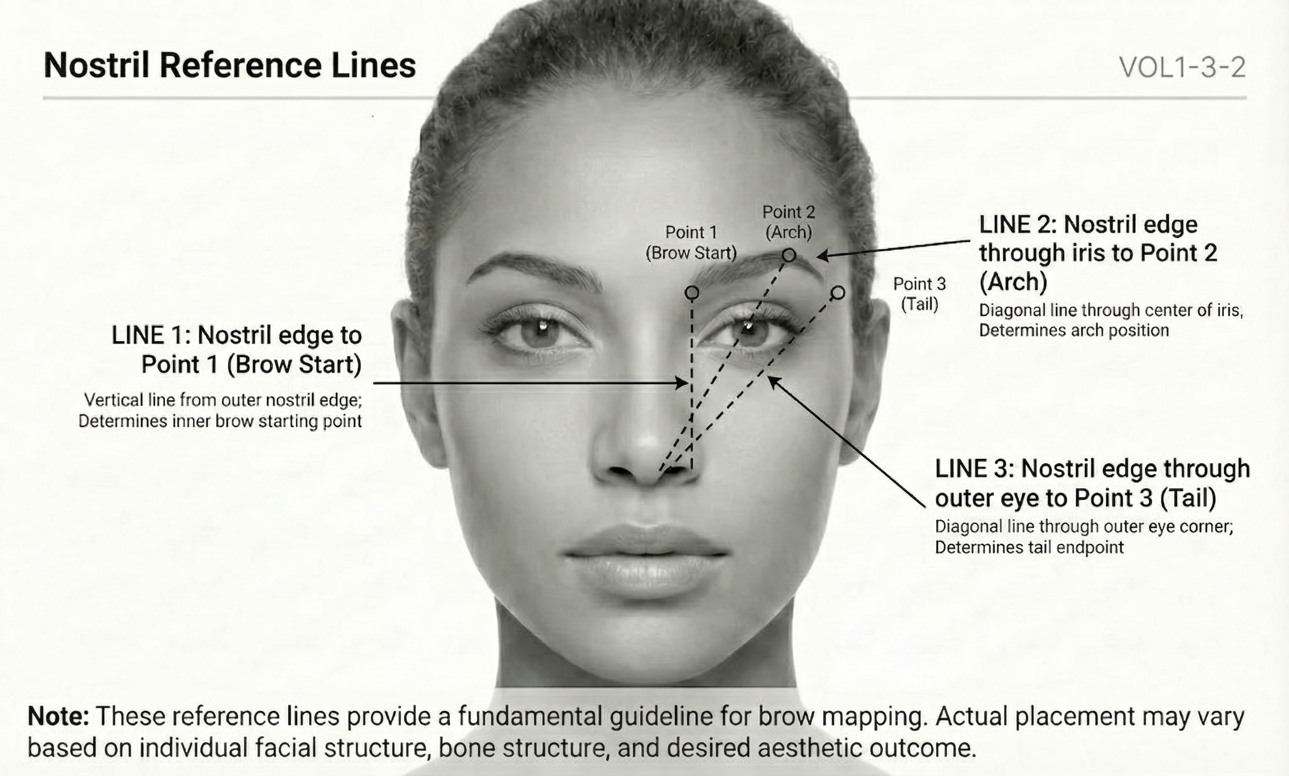 Diagram showing facial reference lines for brow mapping
