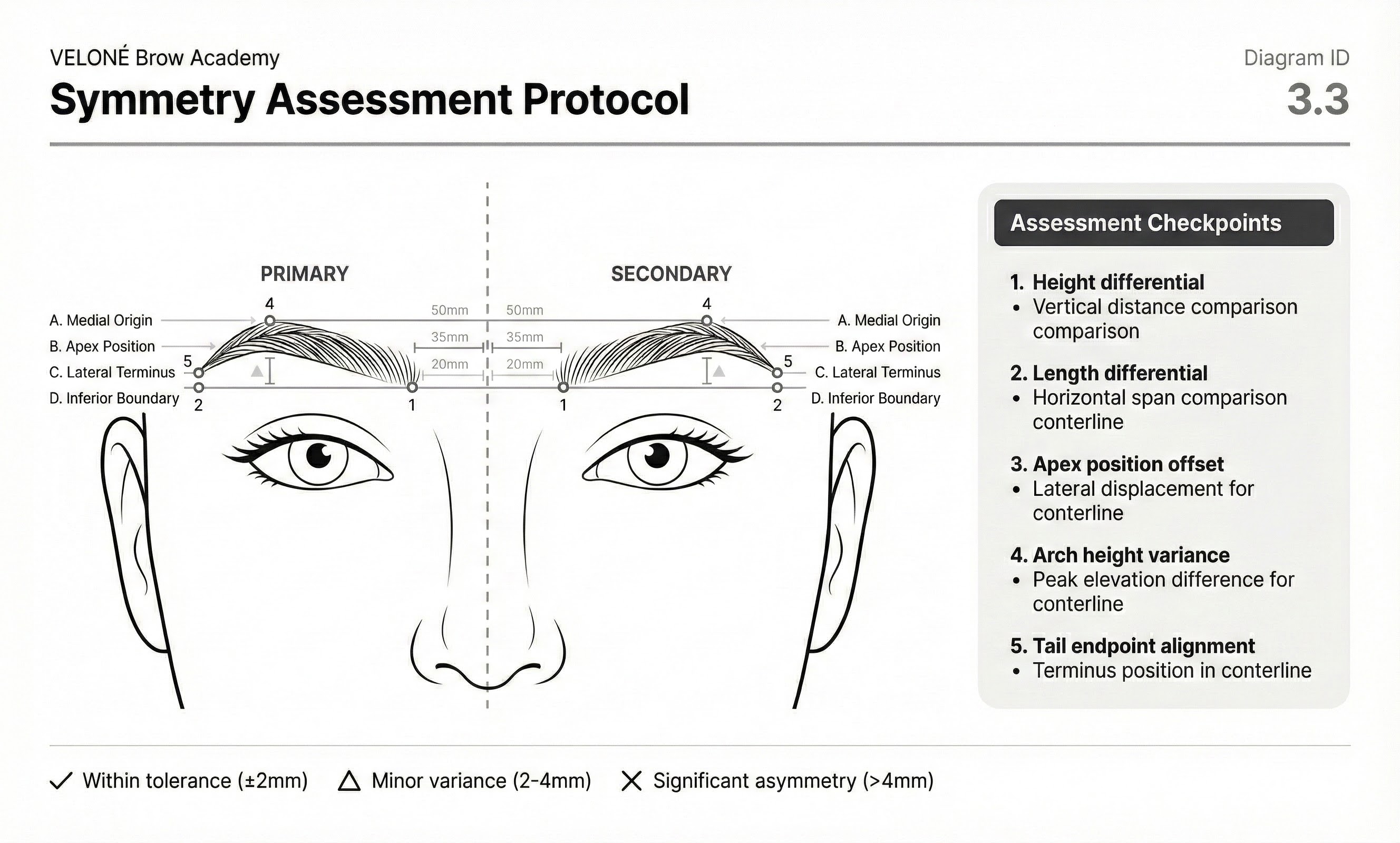 Diagram showing symmetry assessment protocol